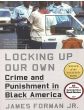 Locking Up Our Own, Crime and Punishment in Black AmericaBy James Forman Jr.