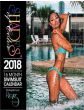 2018 Shades of Color Calendar
