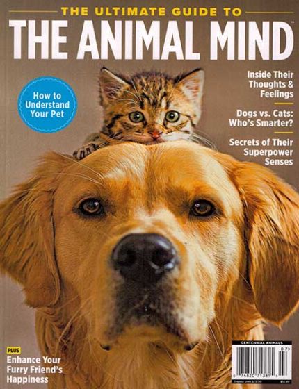 The Ultimate Guide to The Animal Mind