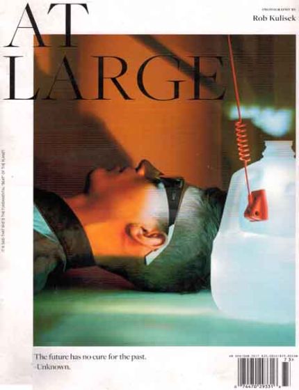 At Large Magazine