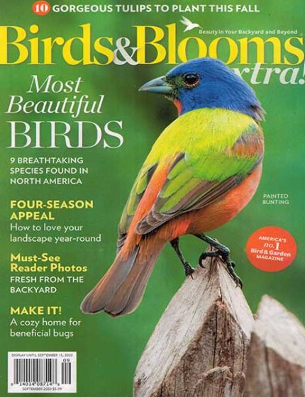 Birds & Blooms