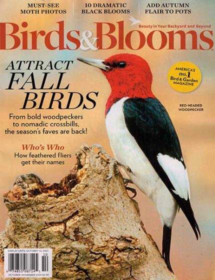 Birds & Blooms