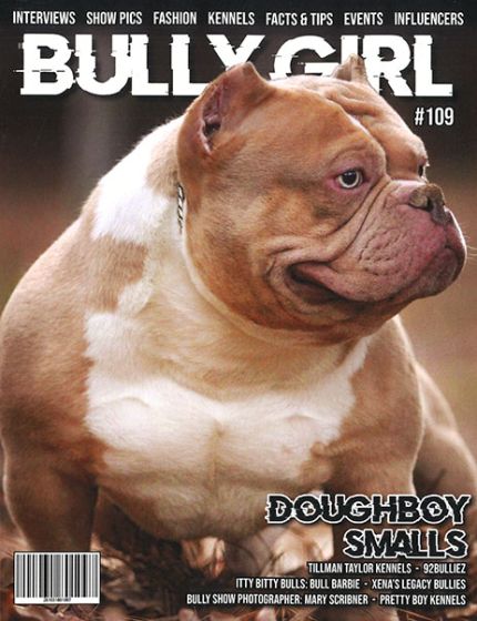 Bully Girl Magazine Issue 109 Year 2024Breeders, Kennels, Show and More
