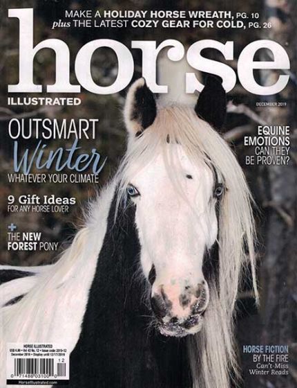 Horse Illustrated