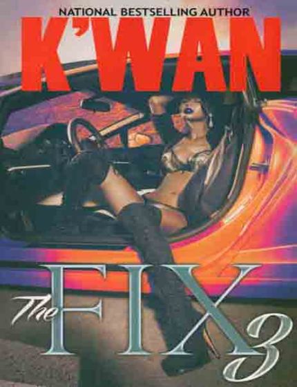 The Fix 3