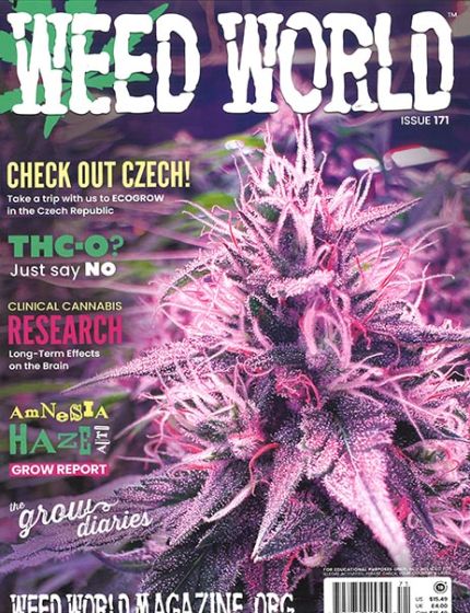 Weed World Magazine Issue 71 Year 2024