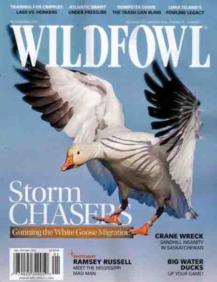 Wild Fowl