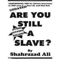 Are You Still A Slave?
By Shahrazad Ali